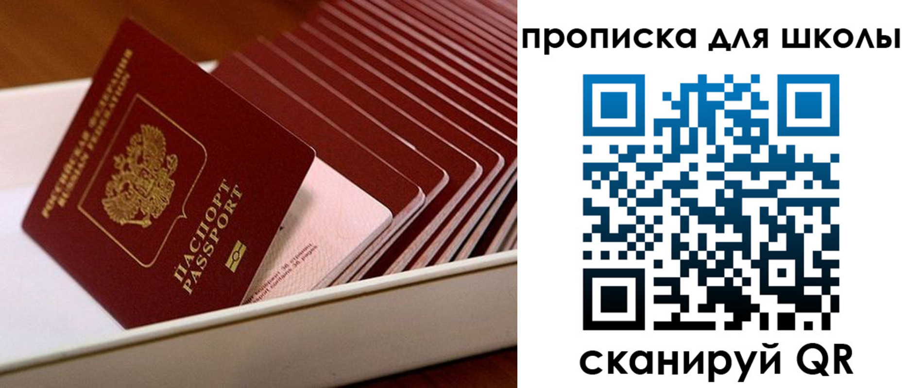 временная регистрация гарантия в Борзе